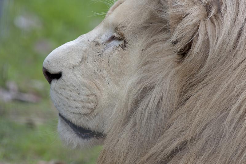 Cjp_2011_08_02_165526 (2).jpg